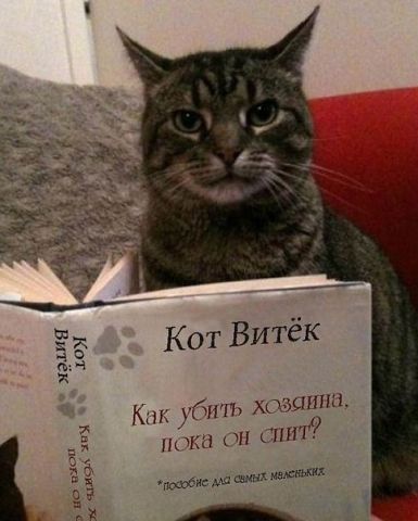 хозяин.jpg