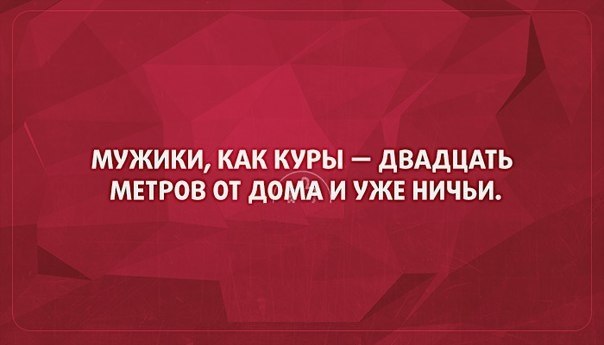 -WVkPtPc7vM.jpg