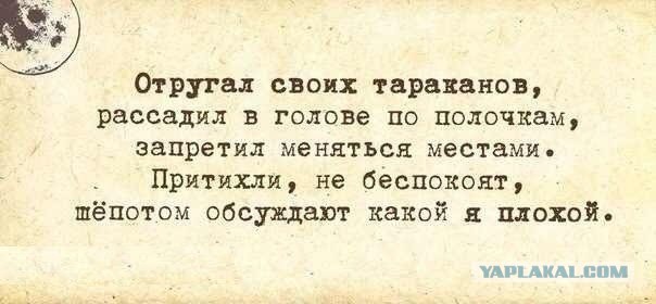 тараканы.jpg
