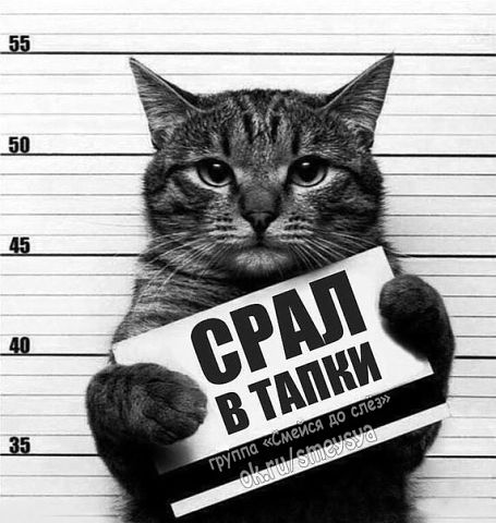 тапки.jpg