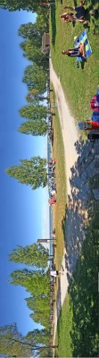 simco 37-43.jpg (4.33 MiB) Viewed 3661 times simco 37-43.jpg