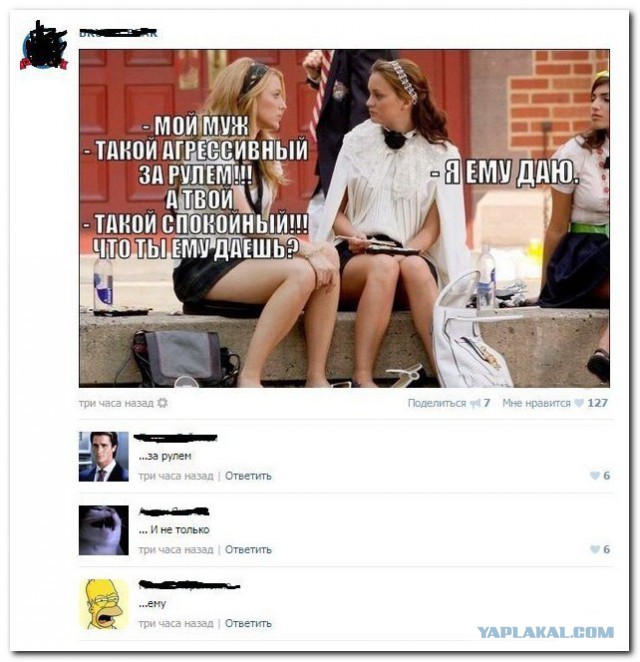фан1.jpg