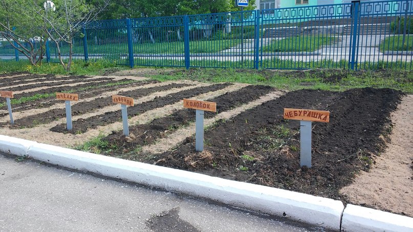 дет сад.jpg