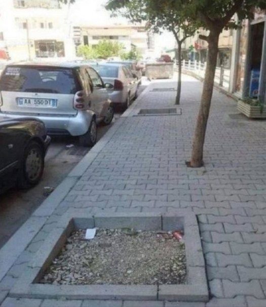 135452_original.jpg