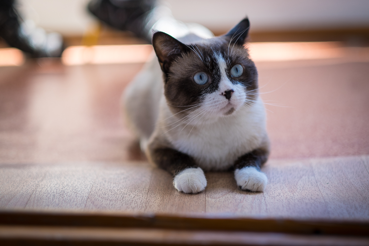 DSCF5994.jpg