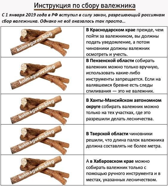 дрова.jpg