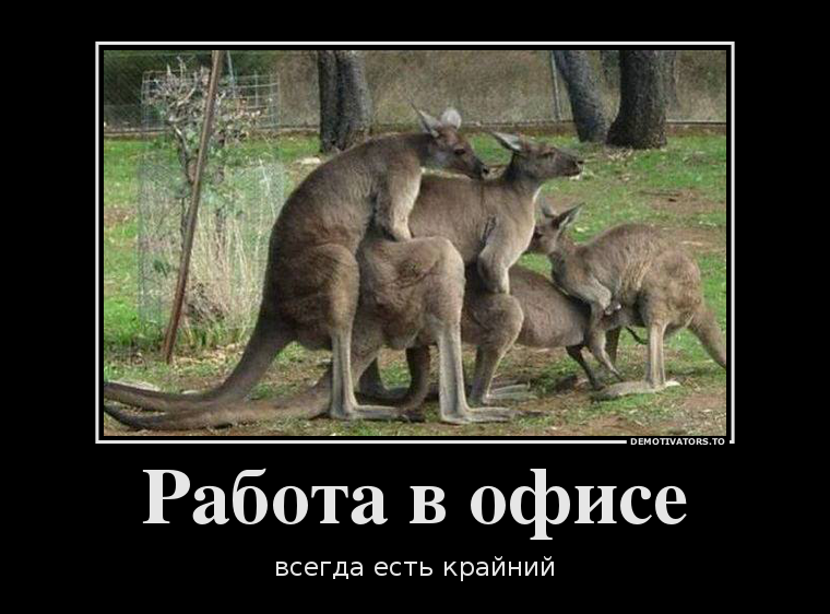 1384372416_aneki.kz_82215590_rabota-v-ofise.png