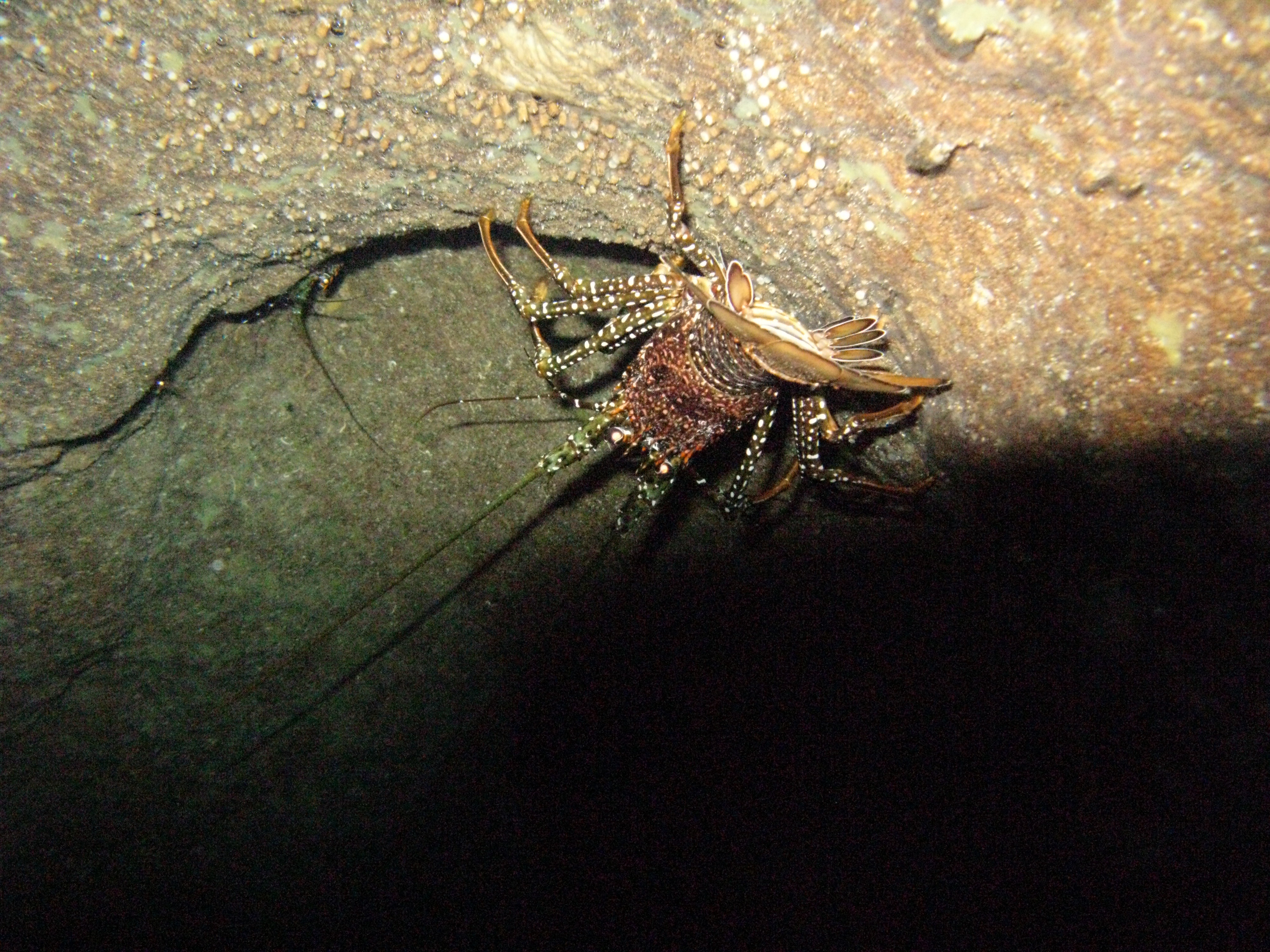 IMG_4675.jpg