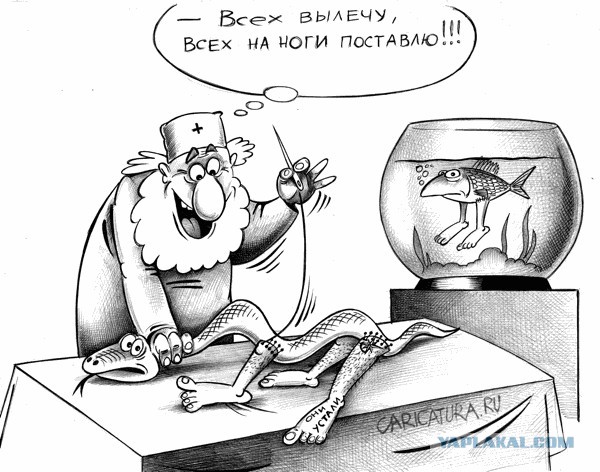док.jpg
