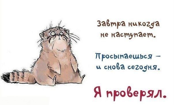 сегодня.jpg