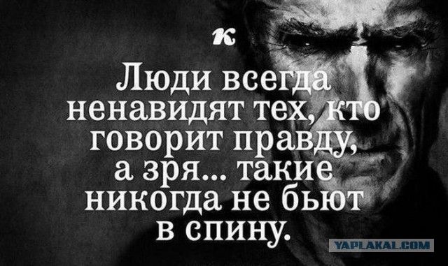 спина.jpg